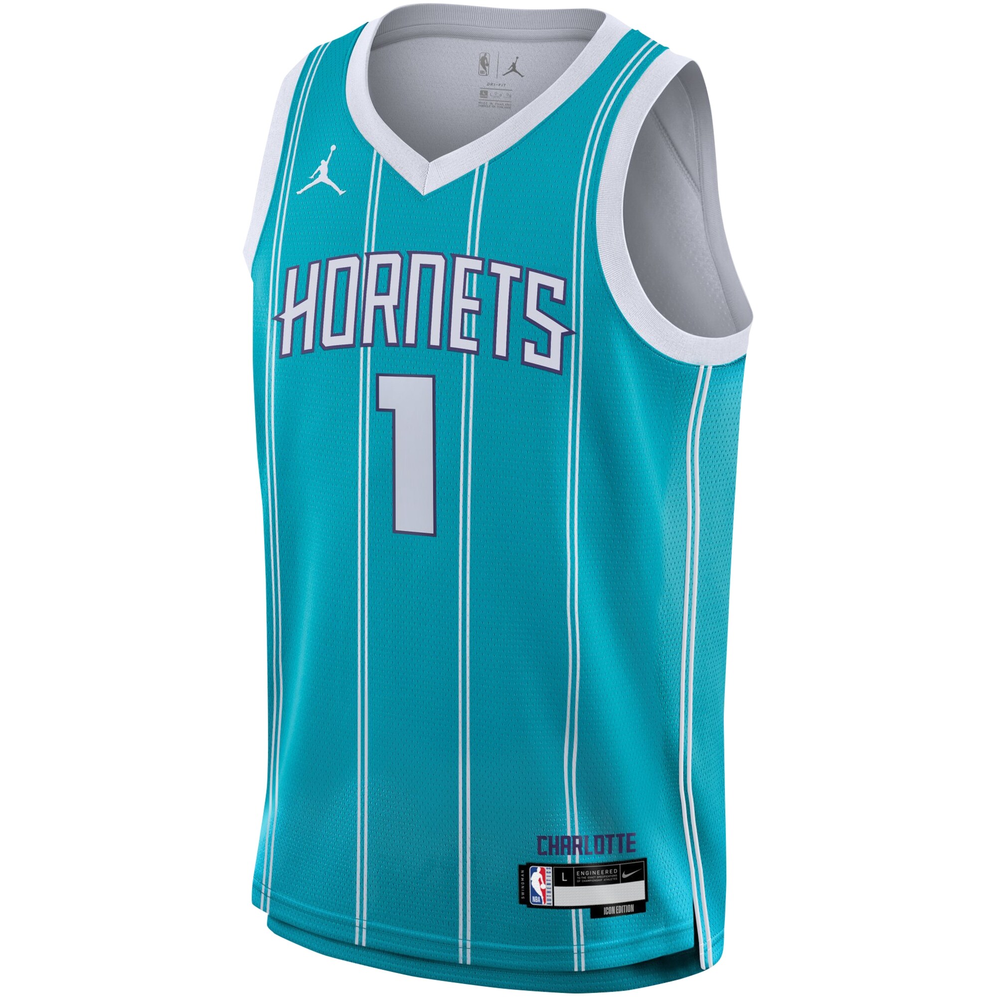 Lamelo Ball Charlotte Hornets BB Store Youth Swingman Jersey - Icon Edition - Teal