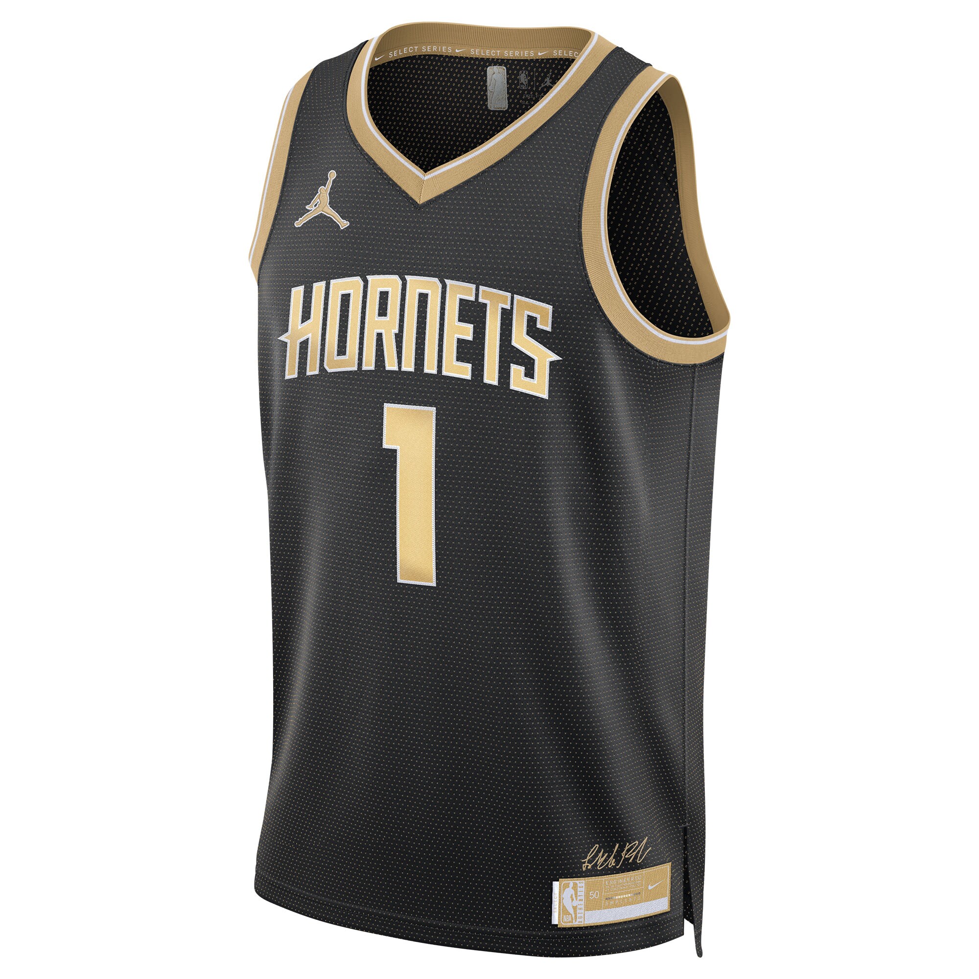 Lamelo Ball Charlotte Hornets Jordan Brand Unisex  Select Series Swingman Jersey - Black