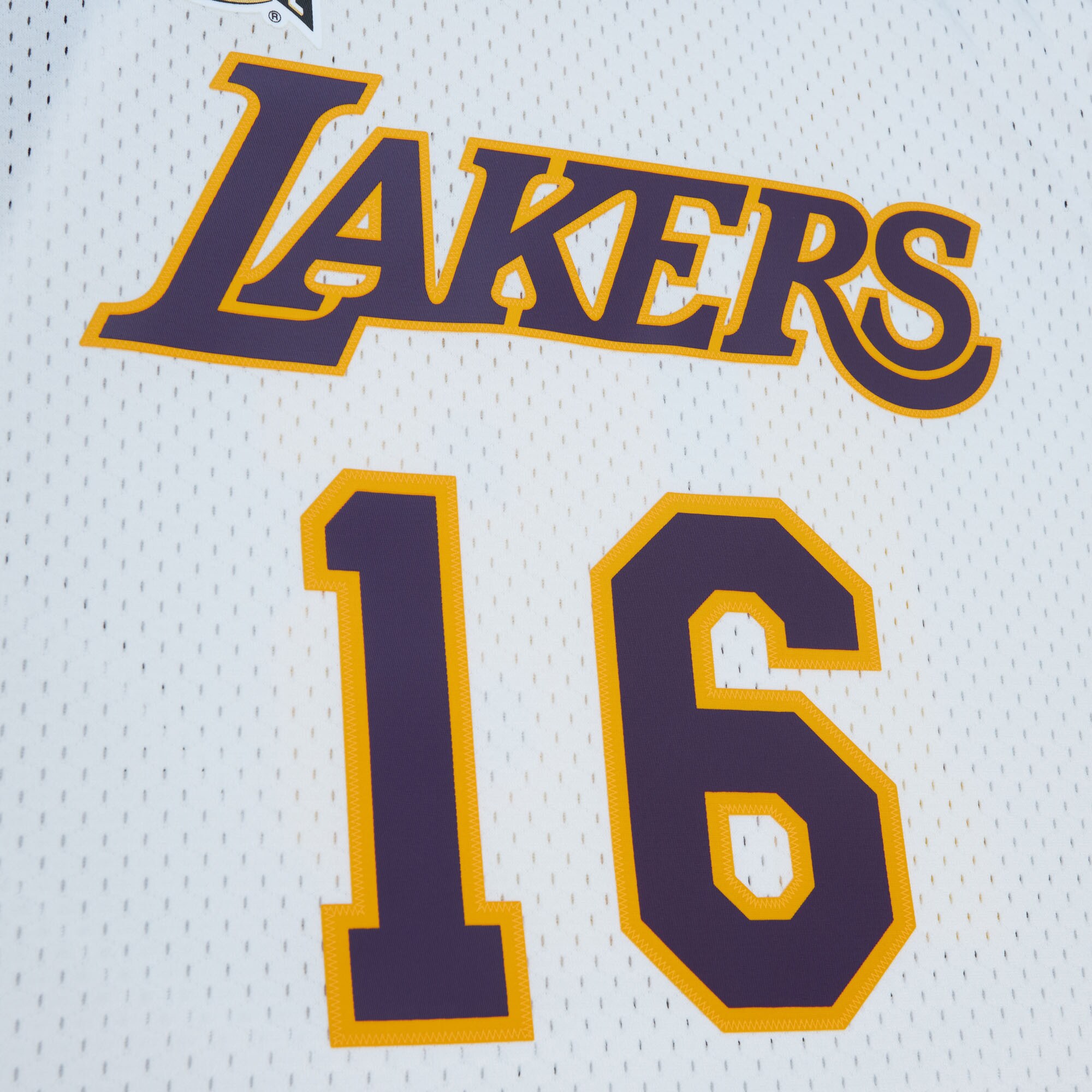 Pau Gasol Los Angeles Lakers  Unisex Hall Of Fame Class Of 2023 Throwback Swingman Jersey - White